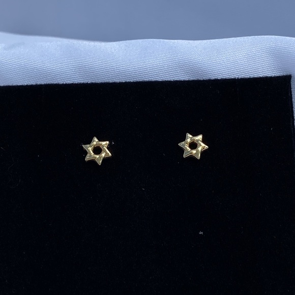 14-k Yellow Gold Star of David Post Earrings - Picture 6 of 6